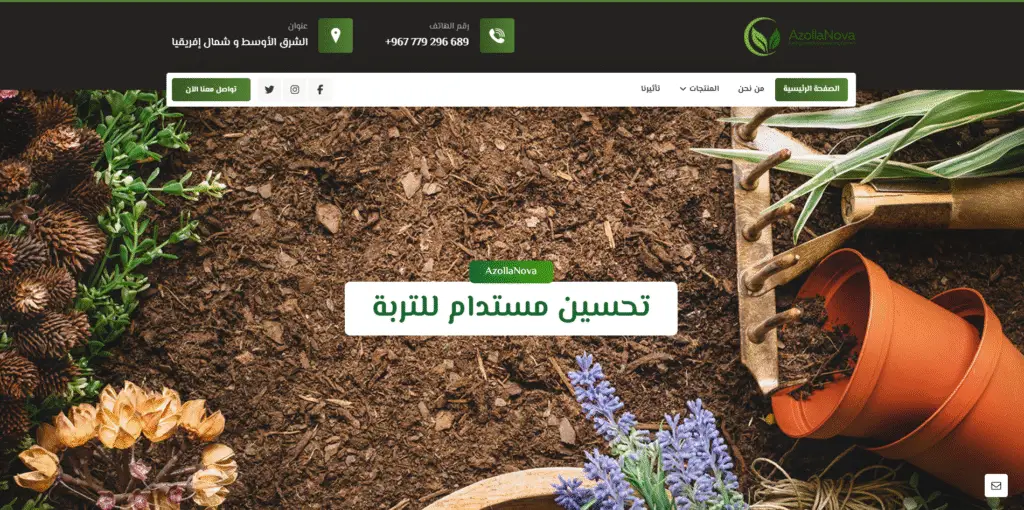 Portfolio d'Africa Web Solutions